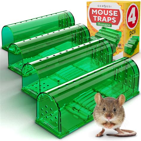 screwfix mouse trap humane